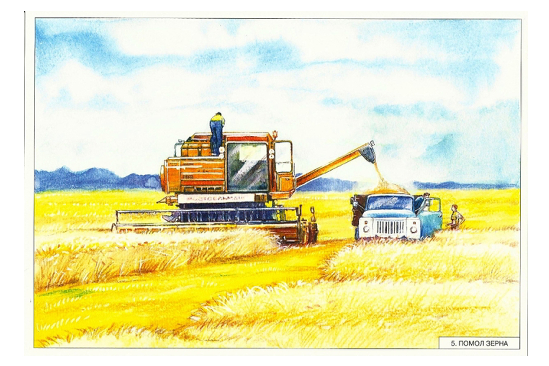 Кто убирает хлеб. Картина Каратая Золотая рожь Нищева. Иллюстрации сельскохозяйственные работы. Уборка урожая для детей. Комбайн в поле.
